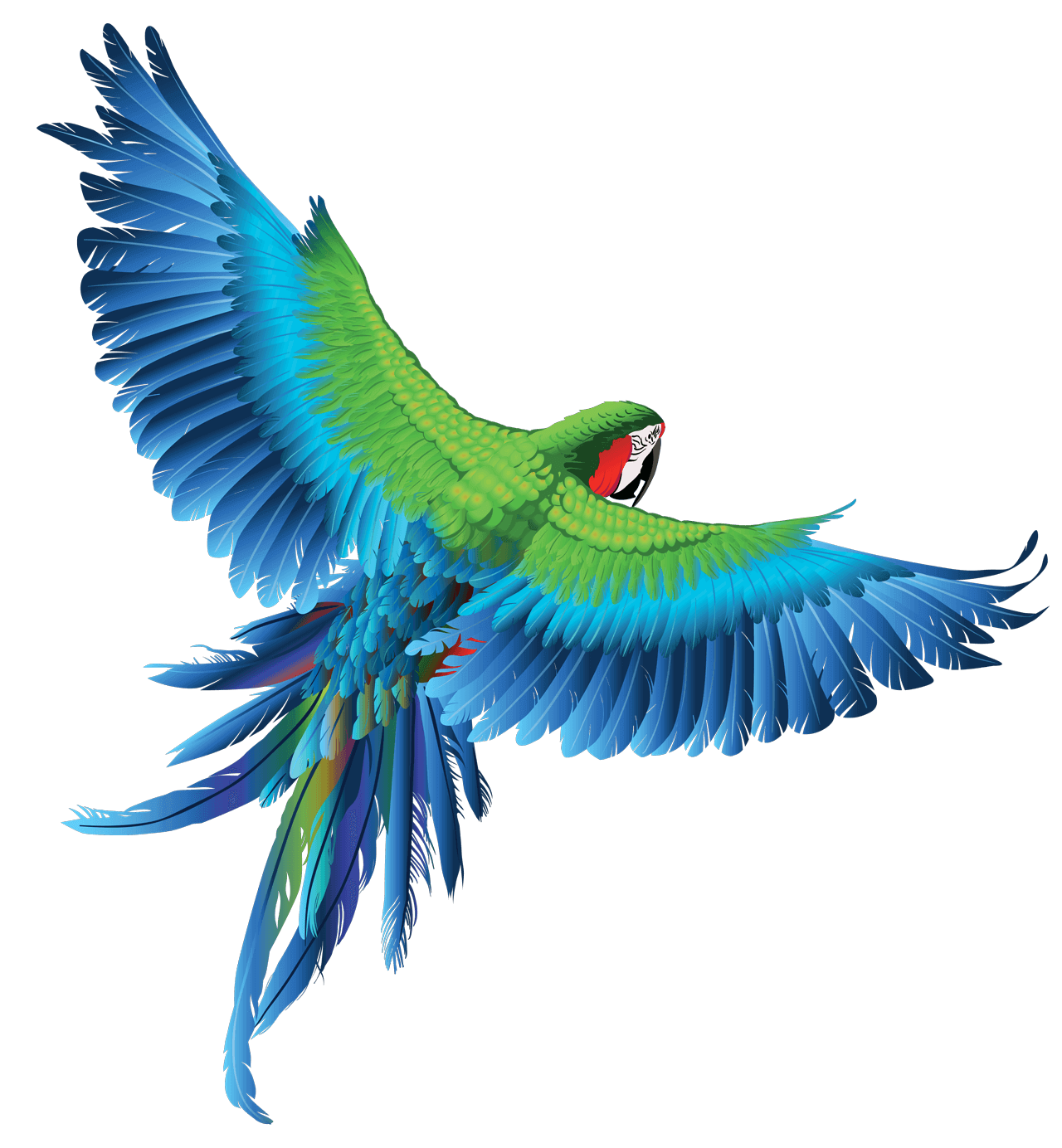 Parrot